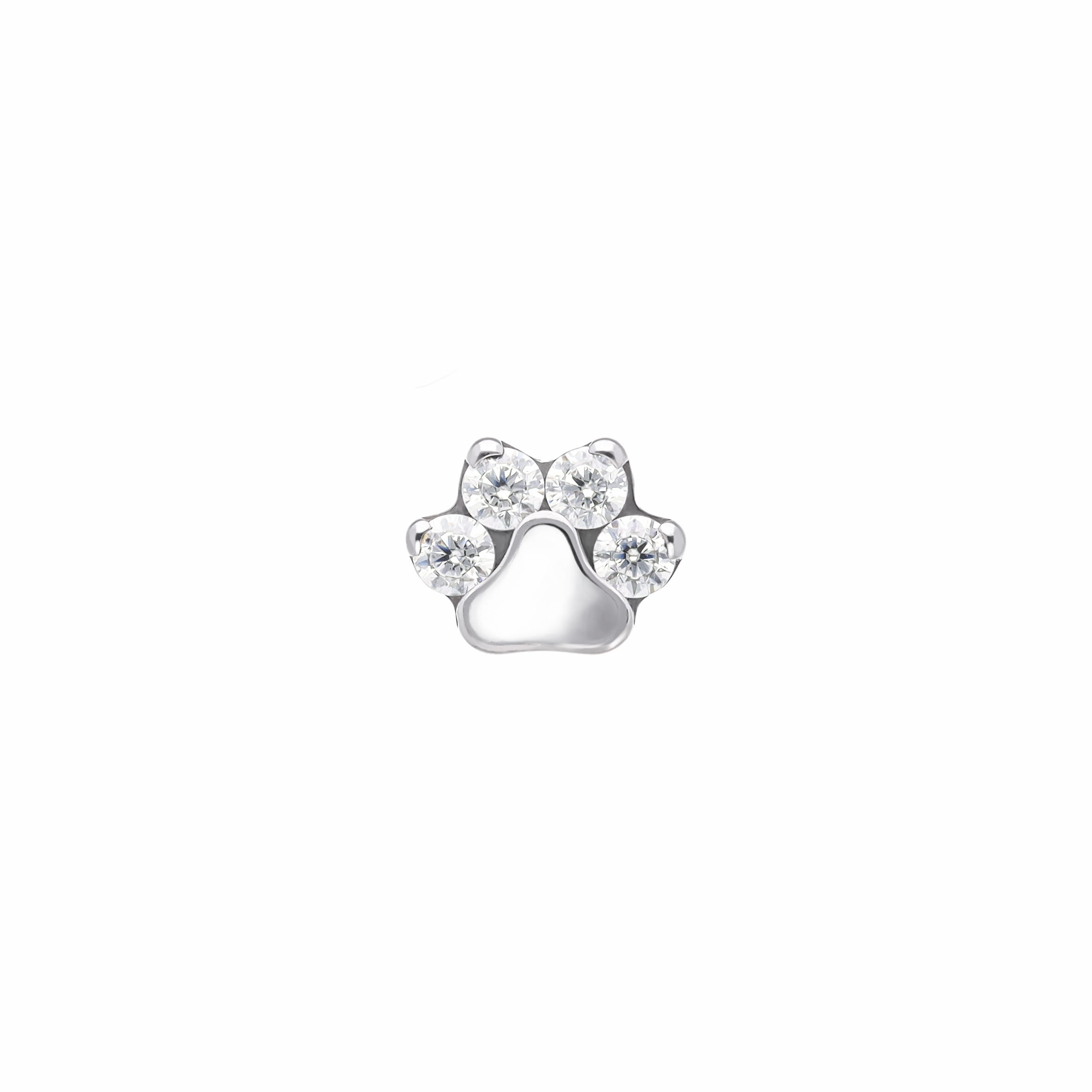 CZ Paw implant grade titanium ASTM F-136 internally threaded top