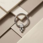 Cz Cluster (captive accessory) - TRM10356_2