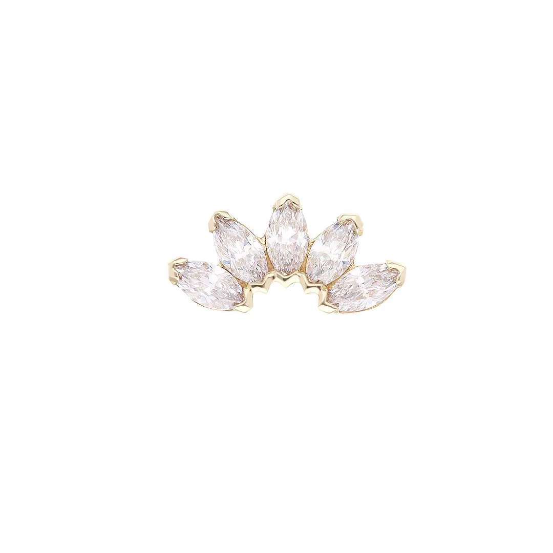 Marquise 5