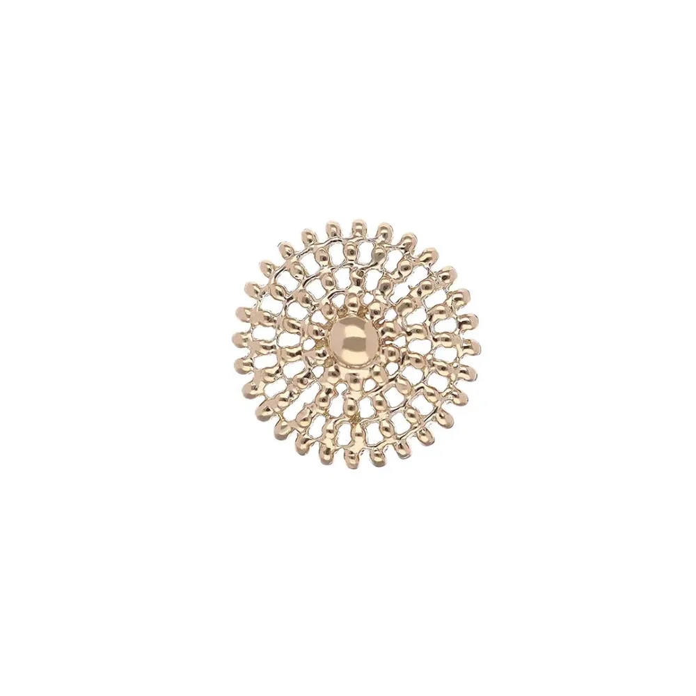 アウルス