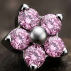 Lori – Pink - TRM11080_2